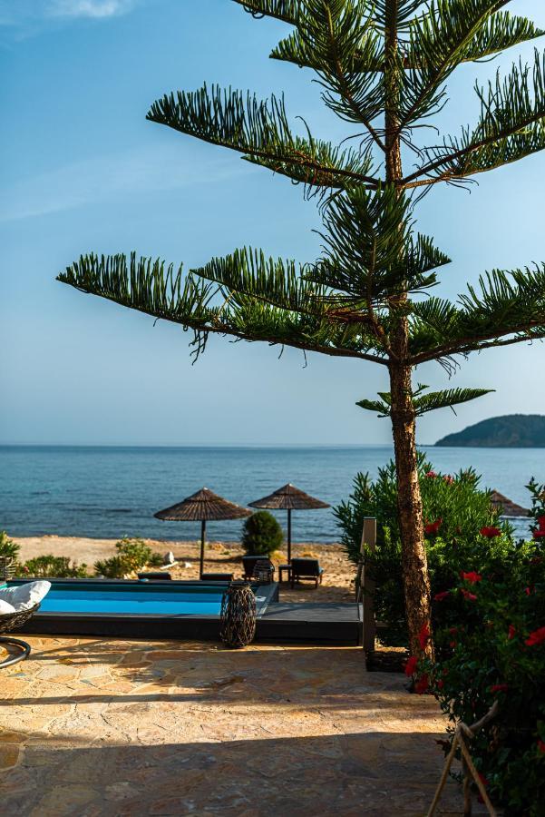 Beachfront Andriana Villa With Mini Pool And Spa Vasilikí Exteriör bild